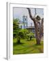 View of the Exaltacao da Santa Cruz Church, Ubatuba, State of Sao Paulo, Brazil, South America-Karol Kozlowski-Framed Photographic Print