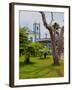 View of the Exaltacao da Santa Cruz Church, Ubatuba, State of Sao Paulo, Brazil, South America-Karol Kozlowski-Framed Photographic Print