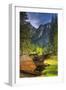 View of the Fallen Tree, Yosemite Valley-Vincent James-Framed Photographic Print