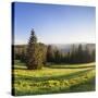 View of the Feldberg in a Meadow Valley, Black Forest, Baden Wurttemberg, Germany-Markus Lange-Stretched Canvas