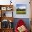 View of the Feldberg in a Meadow Valley, Black Forest, Baden Wurttemberg, Germany-Markus Lange-Photographic Print displayed on a wall