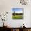 View of the Feldberg in a Meadow Valley, Black Forest, Baden Wurttemberg, Germany-Markus Lange-Photographic Print displayed on a wall