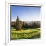 View of the Feldberg in a Meadow Valley, Black Forest, Baden Wurttemberg, Germany-Markus Lange-Framed Photographic Print