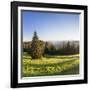 View of the Feldberg in a Meadow Valley, Black Forest, Baden Wurttemberg, Germany-Markus Lange-Framed Photographic Print