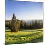 View of the Feldberg in a Meadow Valley, Black Forest, Baden Wurttemberg, Germany-Markus Lange-Mounted Photographic Print