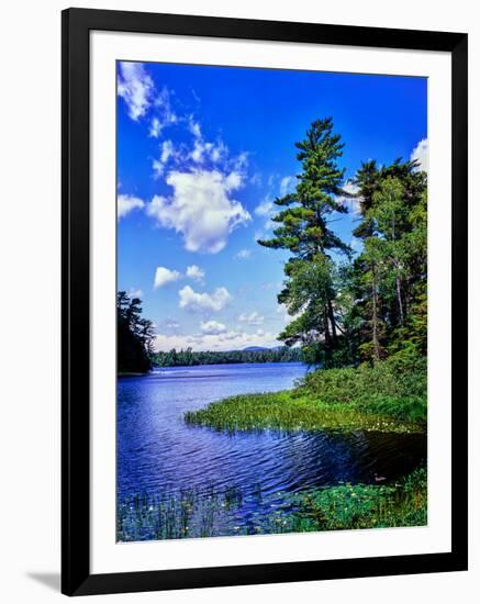 View of the Follensby Clear Pond, Adirondack Mountains, New York State, USA-null-Framed Photographic Print