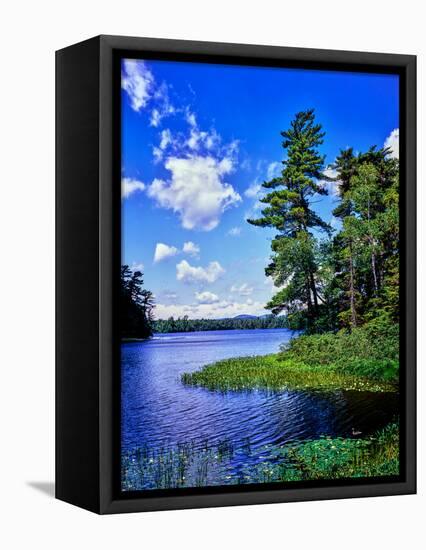 View of the Follensby Clear Pond, Adirondack Mountains, New York State, USA-null-Framed Stretched Canvas