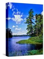 View of the Follensby Clear Pond, Adirondack Mountains, New York State, USA-null-Stretched Canvas