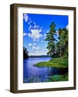 View of the Follensby Clear Pond, Adirondack Mountains, New York State, USA-null-Framed Photographic Print