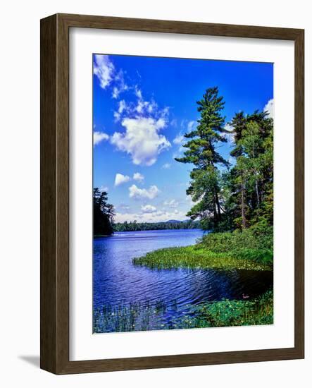 View of the Follensby Clear Pond, Adirondack Mountains, New York State, USA-null-Framed Photographic Print