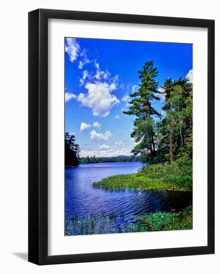 View of the Follensby Clear Pond, Adirondack Mountains, New York State, USA-null-Framed Photographic Print