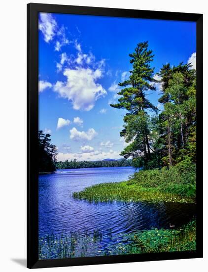 View of the Follensby Clear Pond, Adirondack Mountains, New York State, USA-null-Framed Photographic Print