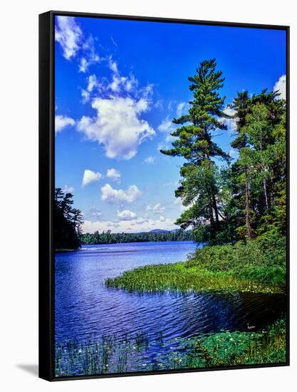 View of the Follensby Clear Pond, Adirondack Mountains, New York State, USA-null-Framed Stretched Canvas