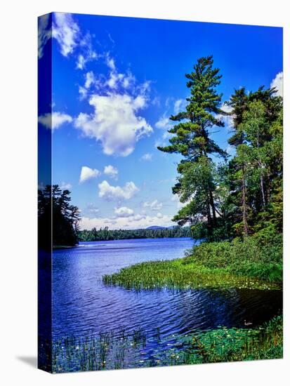 View of the Follensby Clear Pond, Adirondack Mountains, New York State, USA-null-Stretched Canvas