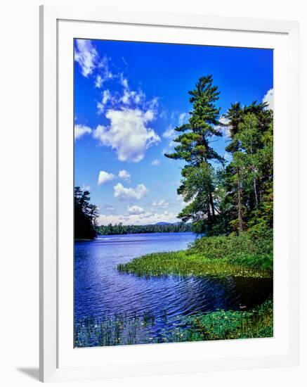 View of the Follensby Clear Pond, Adirondack Mountains, New York State, USA-null-Framed Premium Photographic Print