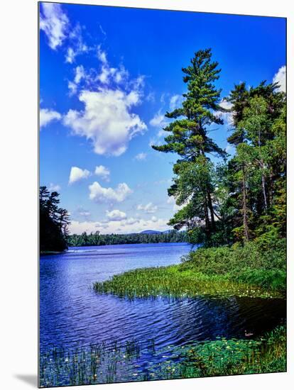 View of the Follensby Clear Pond, Adirondack Mountains, New York State, USA-null-Mounted Premium Photographic Print