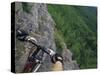 View of the Forest from a Mountian Bike-null-Stretched Canvas