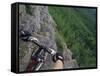 View of the Forest from a Mountian Bike-null-Framed Stretched Canvas