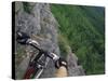 View of the Forest from a Mountian Bike-null-Stretched Canvas