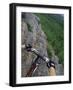 View of the Forest from a Mountian Bike-null-Framed Photographic Print