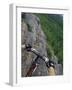 View of the Forest from a Mountian Bike-null-Framed Photographic Print