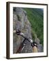 View of the Forest from a Mountian Bike-null-Framed Photographic Print