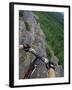 View of the Forest from a Mountian Bike-null-Framed Photographic Print