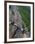 View of the Forest from a Mountian Bike-null-Framed Photographic Print