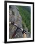 View of the Forest from a Mountian Bike-null-Framed Photographic Print