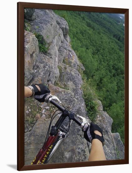 View of the Forest from a Mountian Bike-null-Framed Photographic Print