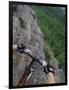 View of the Forest from a Mountian Bike-null-Framed Photographic Print