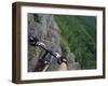 View of the Forest from a Mountian Bike-null-Framed Photographic Print