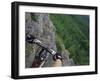 View of the Forest from a Mountian Bike-null-Framed Photographic Print