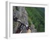 View of the Forest from a Mountian Bike-null-Framed Photographic Print