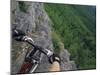 View of the Forest from a Mountian Bike-null-Mounted Photographic Print