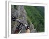 View of the Forest from a Mountian Bike-null-Framed Photographic Print