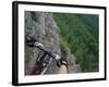 View of the Forest from a Mountian Bike-null-Framed Photographic Print