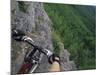 View of the Forest from a Mountian Bike-null-Mounted Photographic Print