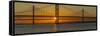 View of the Forth Road Bridge and Queensferry Crossing over the Firth of Forth at sunset-Frank Fell-Framed Stretched Canvas