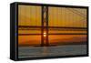 View of the Forth Road Bridge and Queensferry Crossing over the Firth of Forth at sunset-Frank Fell-Framed Stretched Canvas