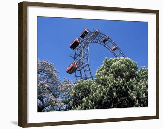 View of the Giant Prater Ferris Wheel Above Chestnut Trees in Bloom, Vienna, Austria-Richard Nebesky-Framed Photographic Print