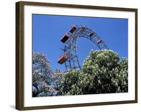 View of the Giant Prater Ferris Wheel Above Chestnut Trees in Bloom, Vienna, Austria-Richard Nebesky-Framed Photographic Print