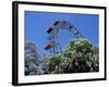 View of the Giant Prater Ferris Wheel Above Chestnut Trees in Bloom, Vienna, Austria-Richard Nebesky-Framed Photographic Print