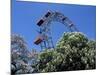 View of the Giant Prater Ferris Wheel Above Chestnut Trees in Bloom, Vienna, Austria-Richard Nebesky-Mounted Photographic Print