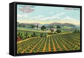 View of the Giersberg Vineyard - Napa, CA-Lantern Press-Framed Stretched Canvas