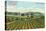 View of the Giersberg Vineyard - Napa, CA-Lantern Press-Stretched Canvas