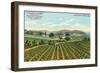 View of the Giersberg Vineyard - Napa, CA-Lantern Press-Framed Art Print