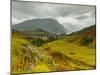 View of the Glenfinnan Viaduct, Highlands, Scotland, United Kingdom, Europe-Karol Kozlowski-Mounted Photographic Print