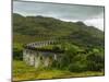 View of the Glenfinnan Viaduct, Highlands, Scotland, United Kingdom, Europe-Karol Kozlowski-Mounted Premium Photographic Print