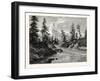 View of The Gorge-null-Framed Giclee Print